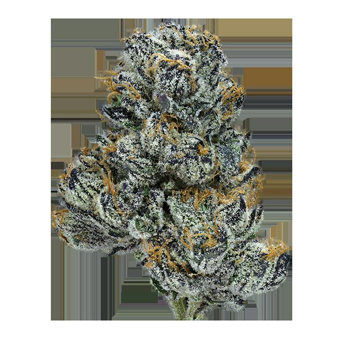 Violet Dreams Flower at Trulieve Bisbee Dispensary