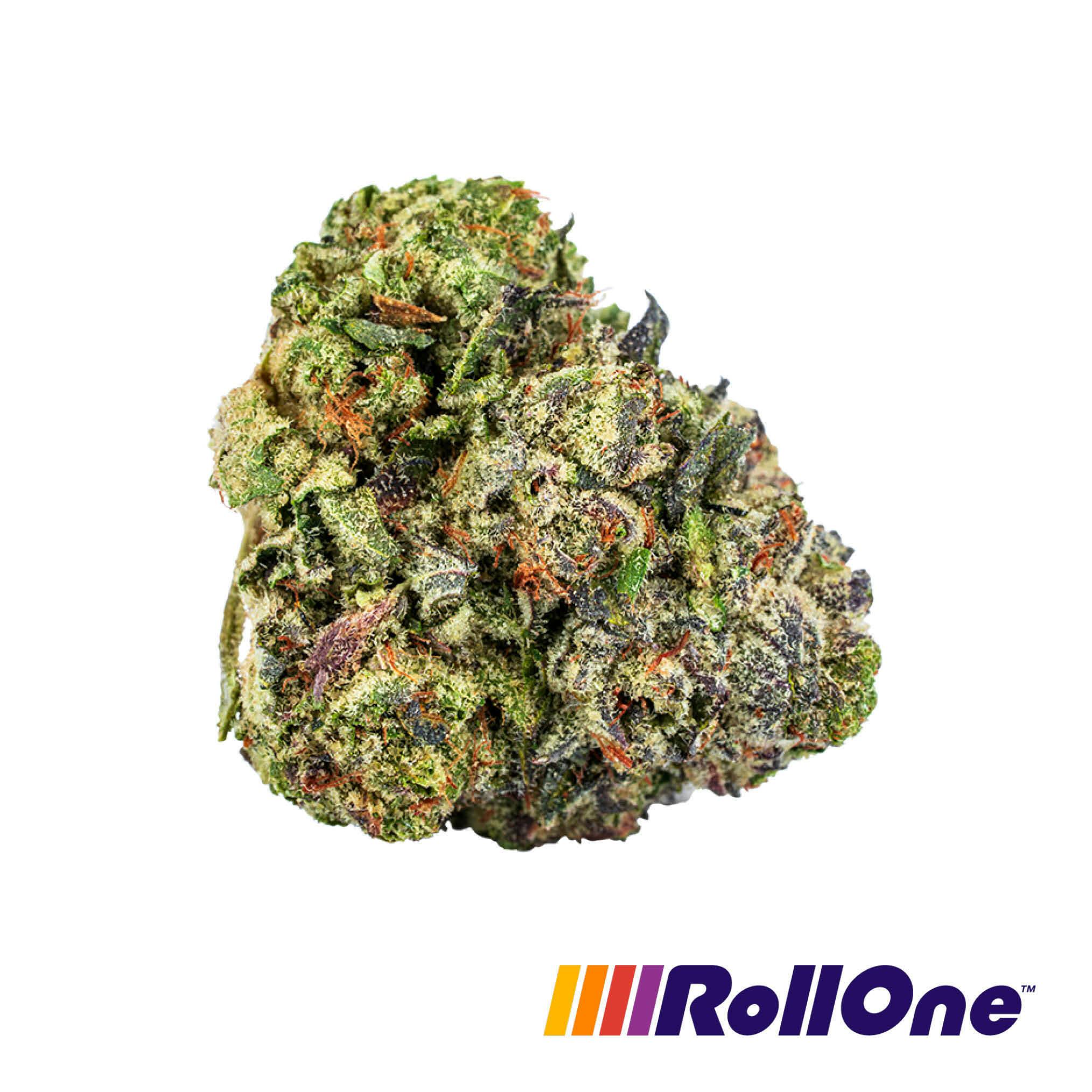 Jet Fuel GMO Flower at Trulieve Bisbee Dispensary