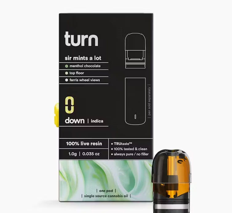 Turn -: Zlushie