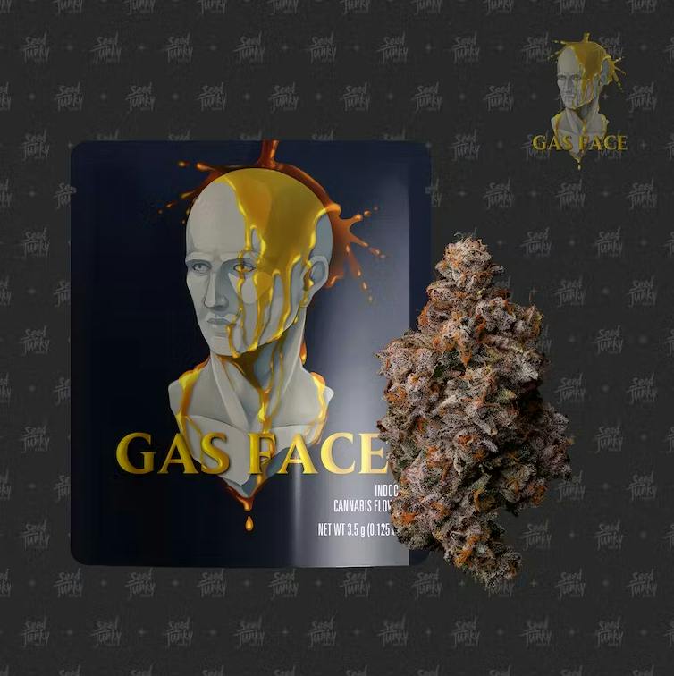 Seed Junky Genetics: Gas Face