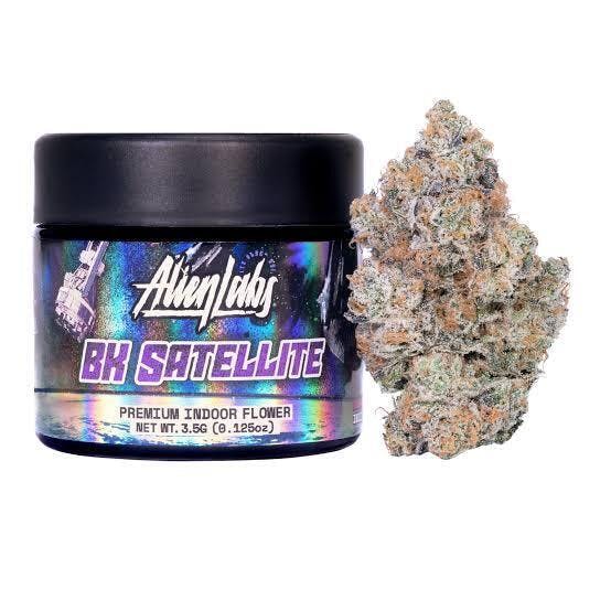 Alien Labs: BK Satellite