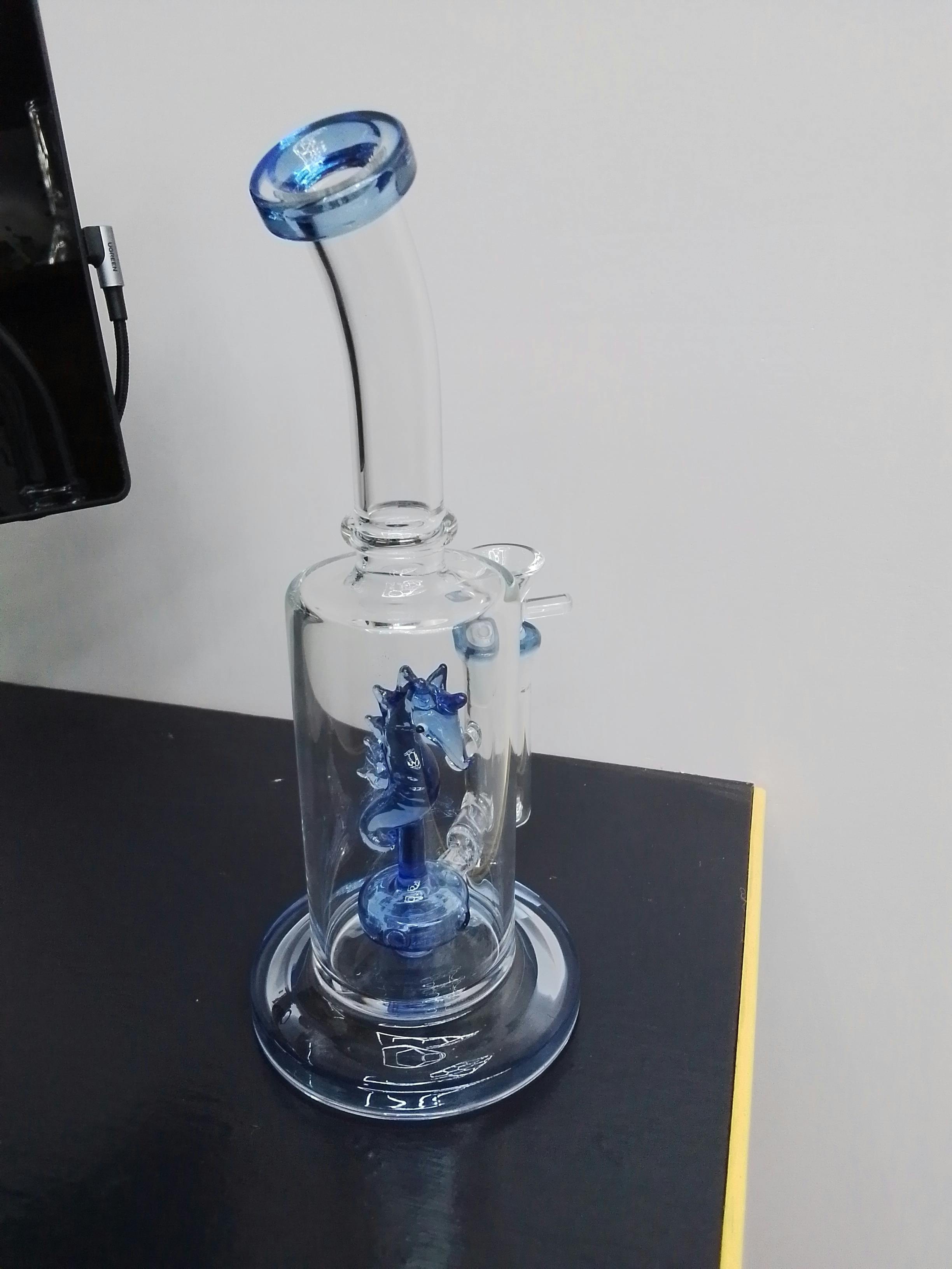 Seahorse
