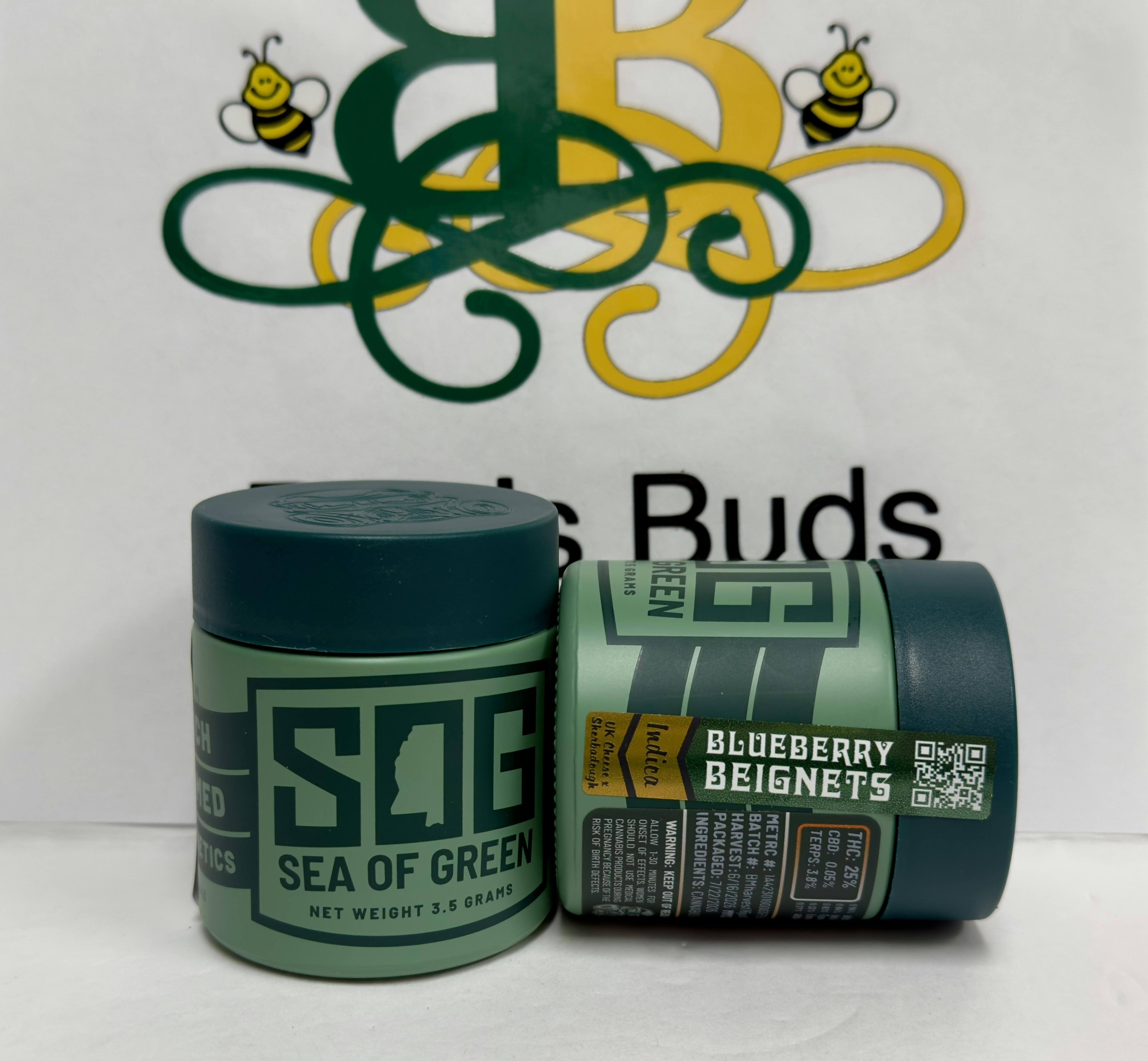 SOG - Blueberry Beignet 25% -3.8% terp (ind)