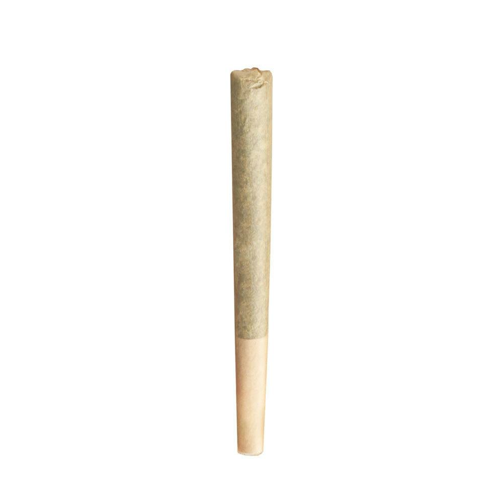 Pine Zap F2 - Pre-Roll - 1g, 1ct at Surterra Wellness