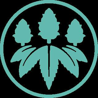 Avitas | Peanut Butter Breath | Infused Pre-Roll