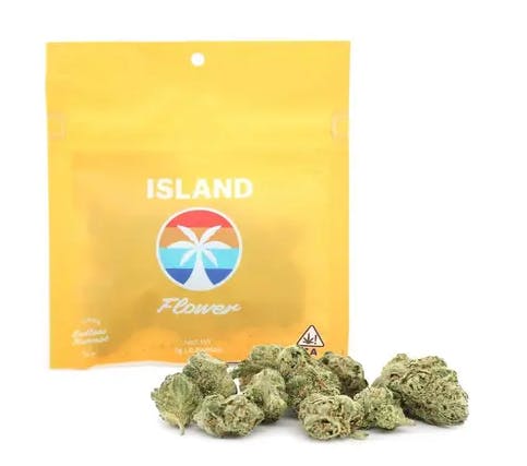Island — Purple Fritter