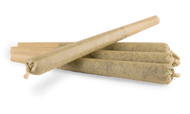 Lemon Oreoz (S) - 1g Pre-Roll - 303 Cannabis