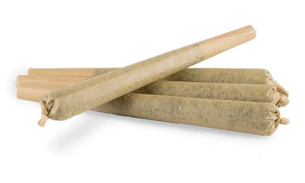 CREATIVITY PRE-ROLL-Bonsai