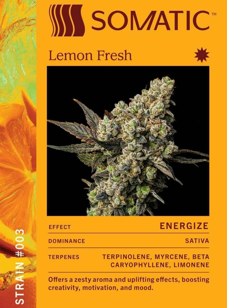 Lemon Fresh