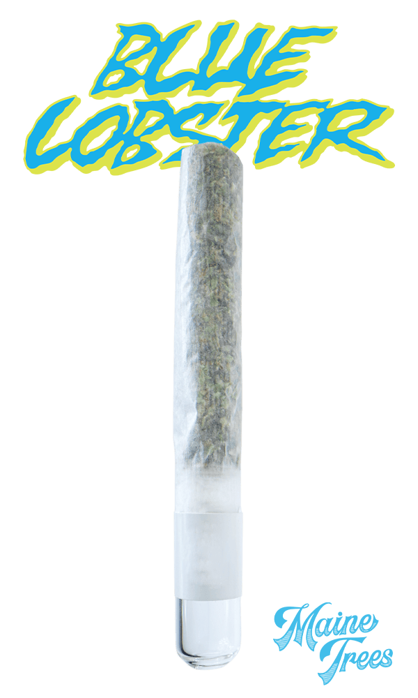 Flowery Handroll Blue Lobster
