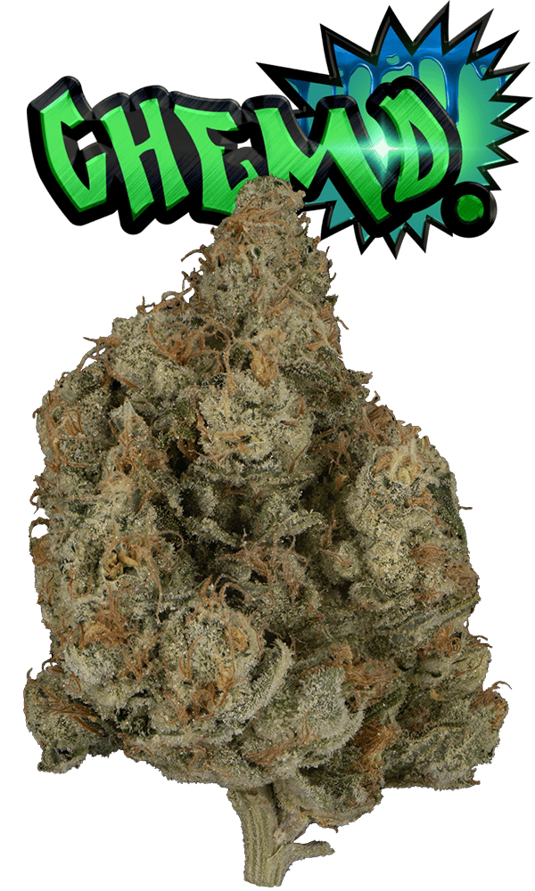 Chem D Glass