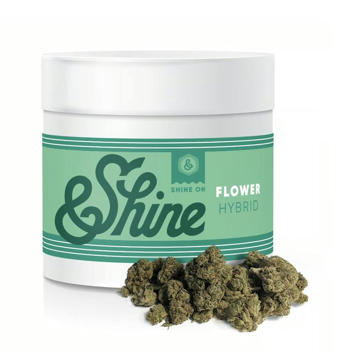 &Shine 28g Pre-Pack - Frostline Mint