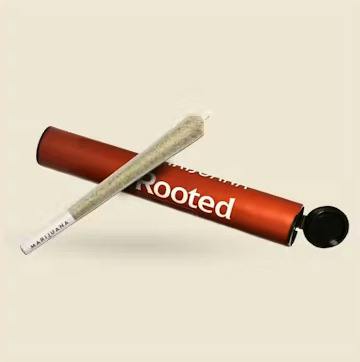 Rooted 1g Preroll - Pavé