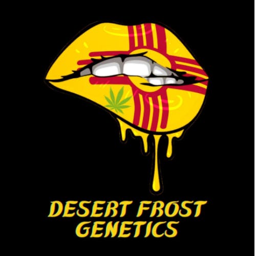 10 Feminized Seeds | Desert Frost Genetics | Widowzmaker