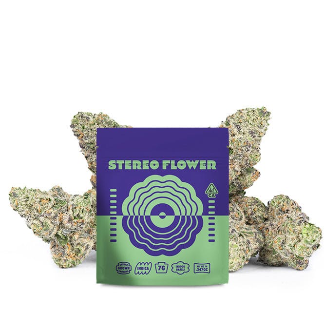 Black Orchid — Black Orchid