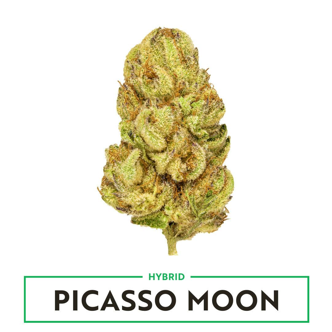 Picasso Moon