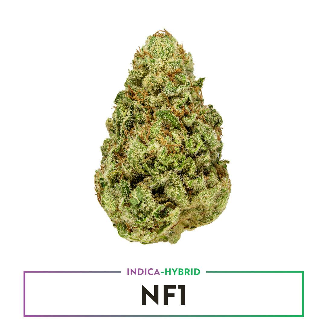 NF1