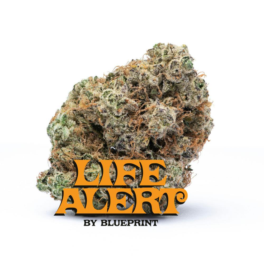 Life Alert