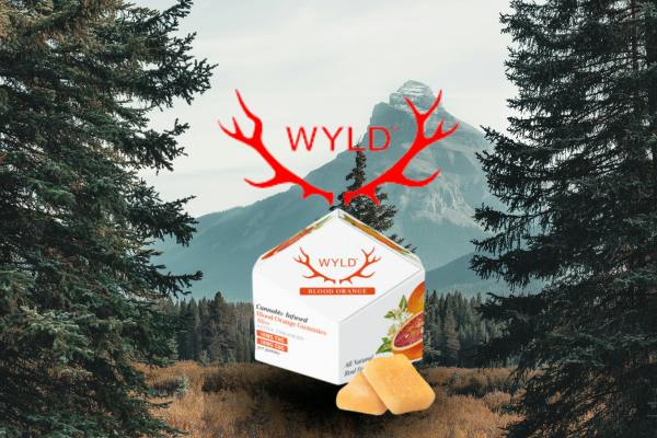 BLOOD ORANGE | 1:1 | THC:CBC | 10 PACK