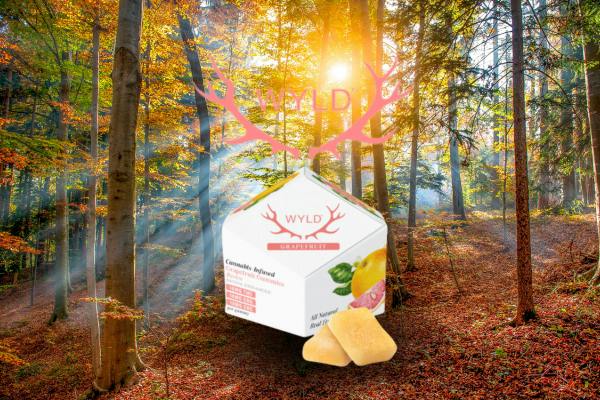 GRAPEFRUIT | 1:1:1 | THC:CBG:CBC | 10 PACK