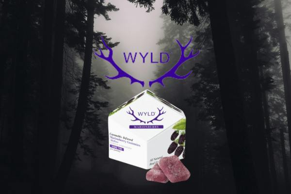 MARIONBERRY | 100 MG | 10 PACK