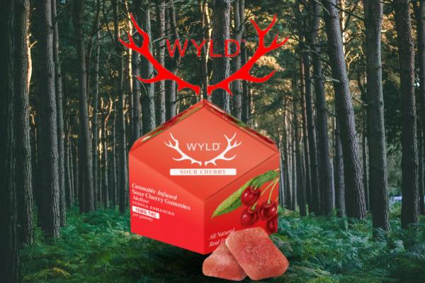 SOUR CHERRY | 100 MG | 10 PACK