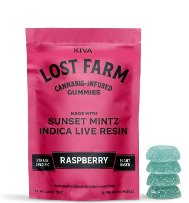 RASPBERRY | 100 MG | 10 PACK GUMMIES