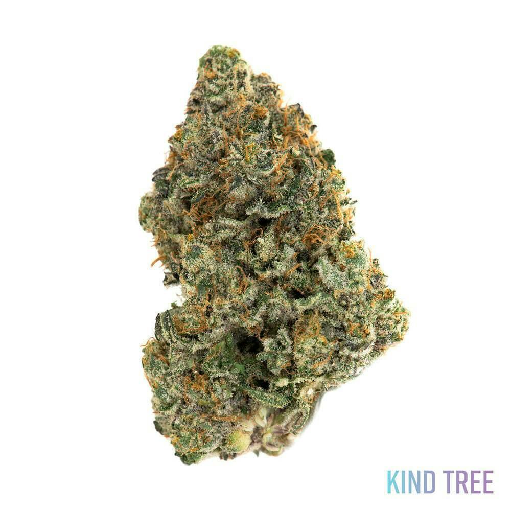 Kind Tree Durban Poison 14g Flower