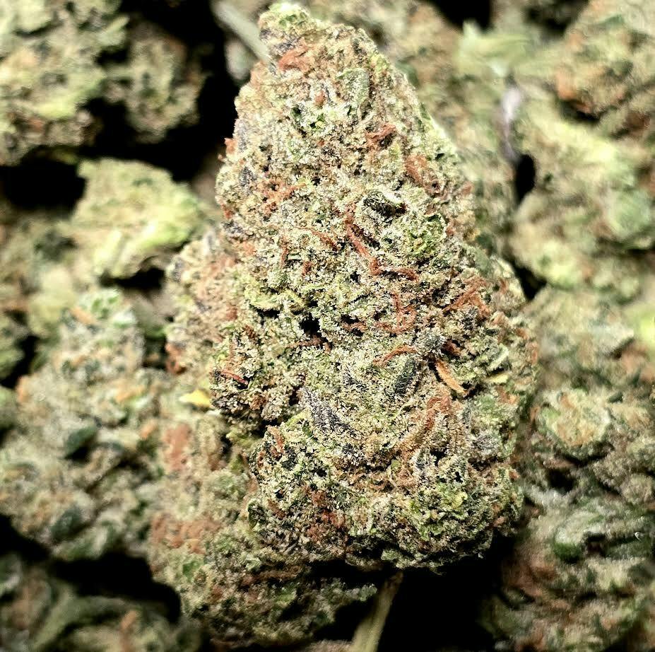 Blue Dream (Organic)