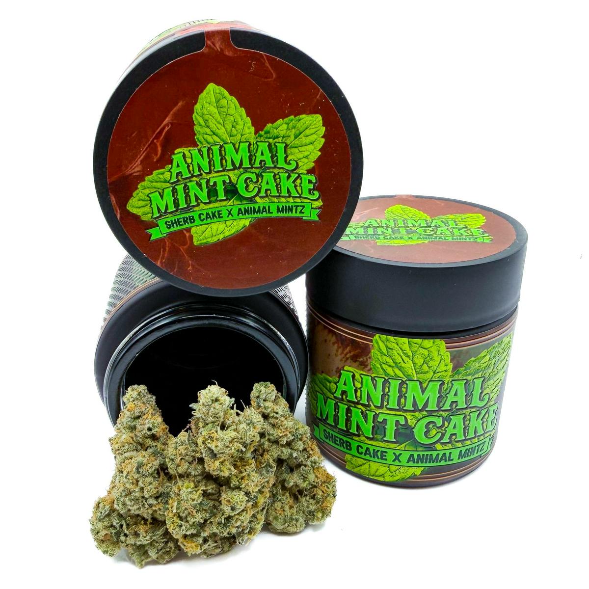 Big Ern's | 3.5G Pre-Pack Jar: Animal Mint Cake