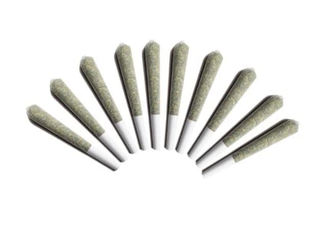 Moon Puppies Pre-Roll | 10 x