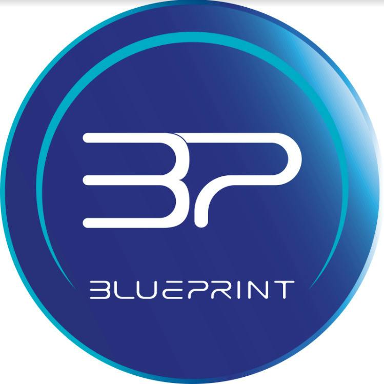 Blueprint 3.5g - Lemonfeen