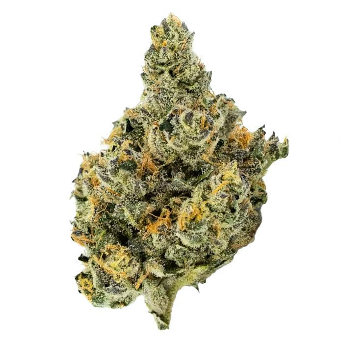 Candela Don Mega Prepack Rec