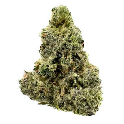 Candela Sherb Cream Pie Prepack Rec