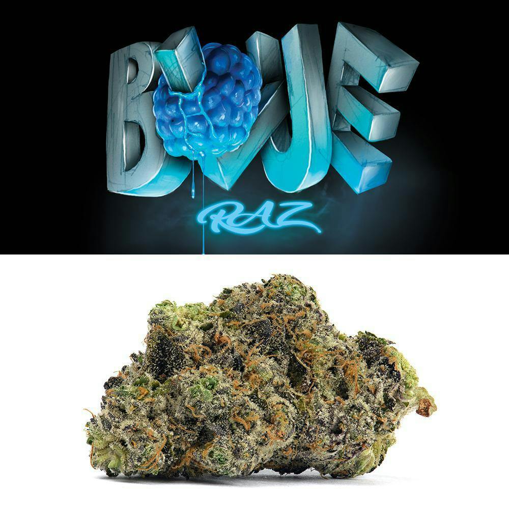 Cookies Blue Raz Rec