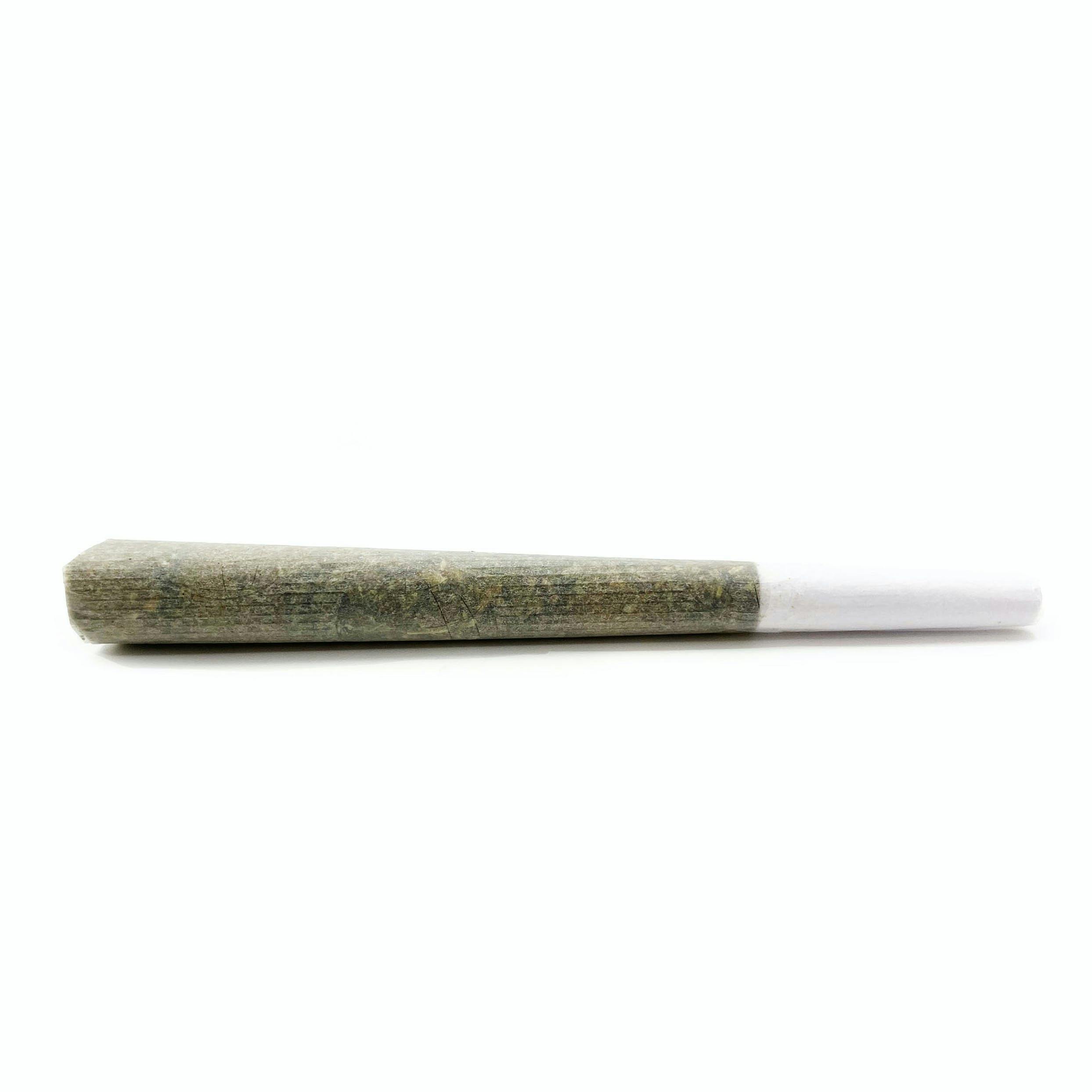 Sushii Roll Ghost Rider Preroll Rec