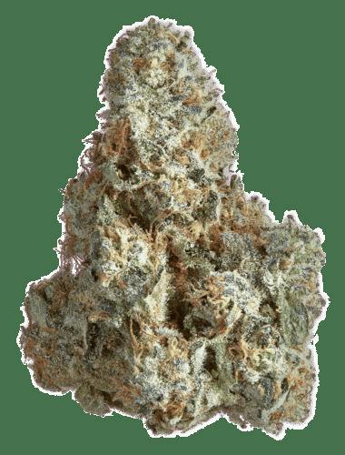 Goldkine Animal Tree Prepack Rec