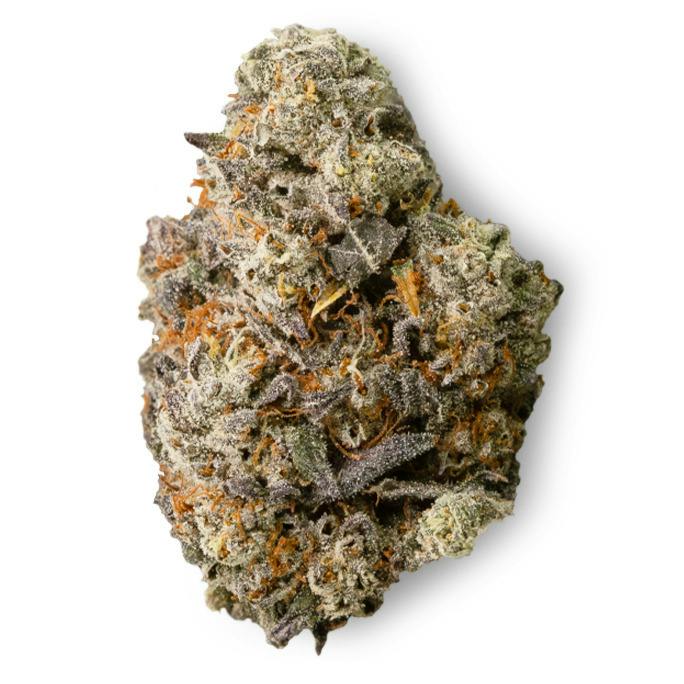 Goldkine Oreoz Blizzard Prepack Rec