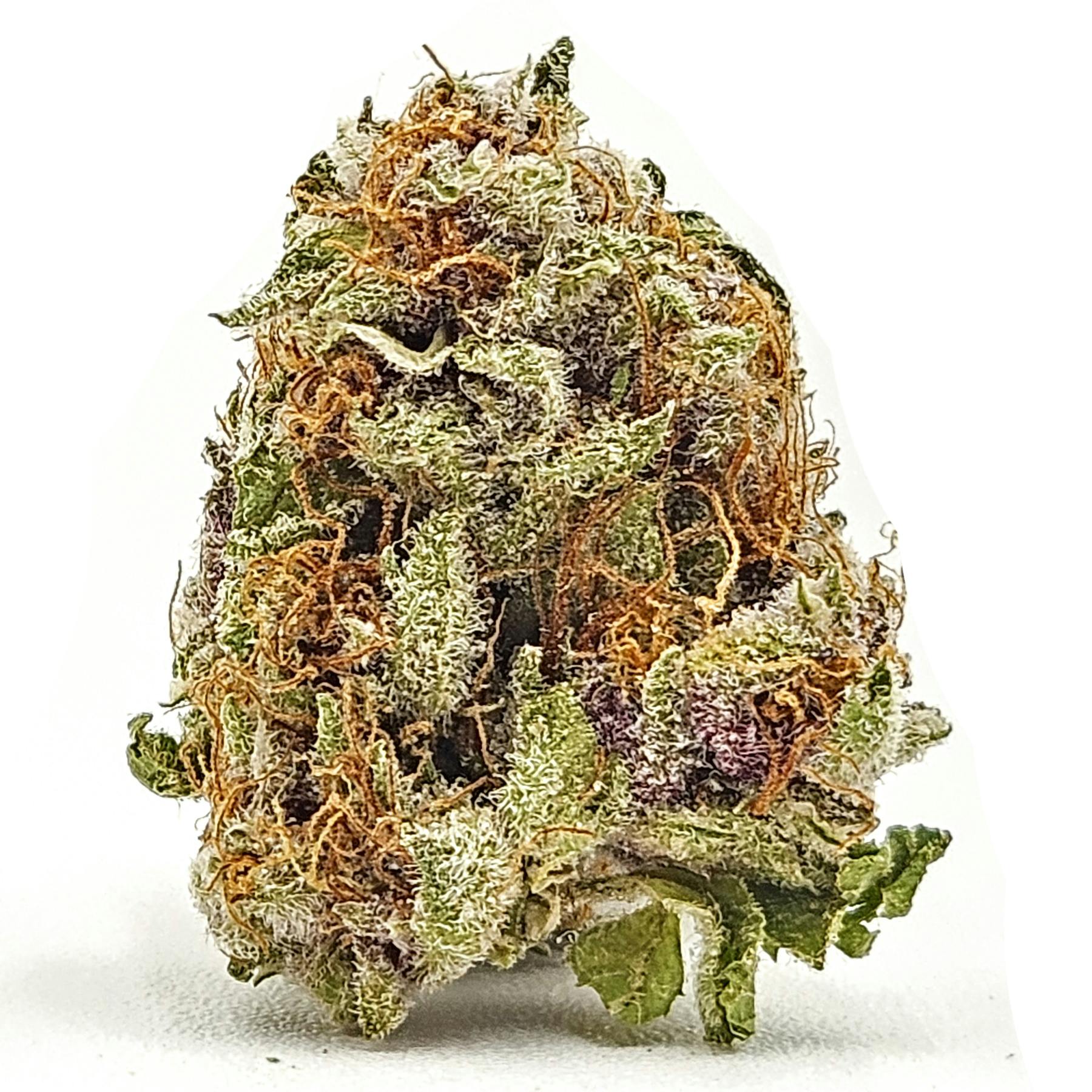 Glorious Tropicana Cherry Rec at Sociale Dispensary