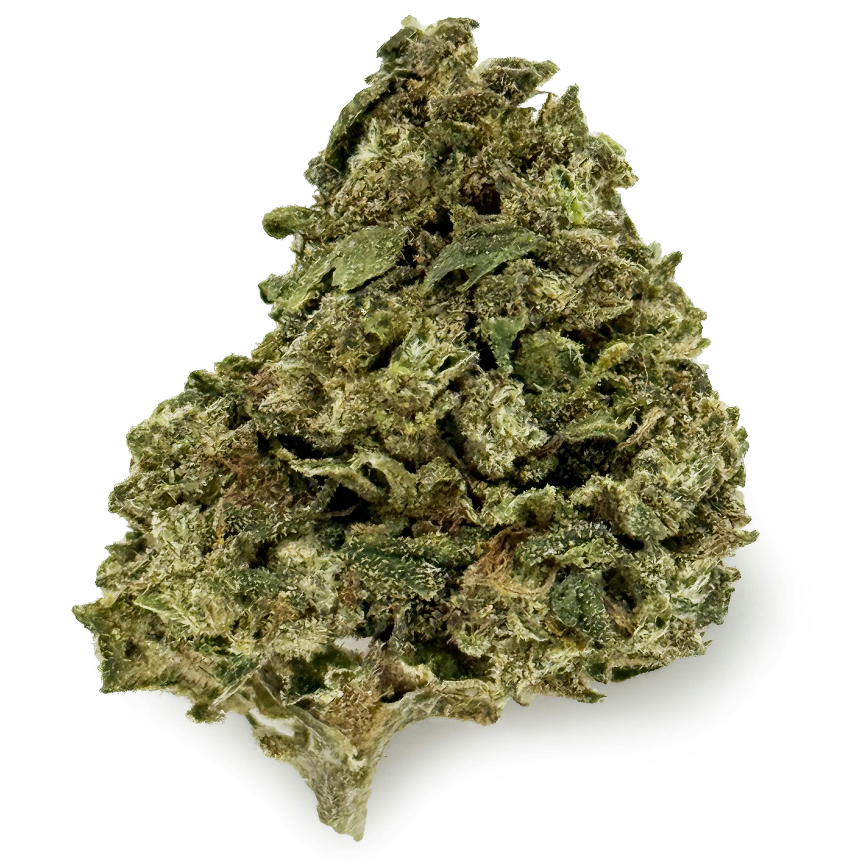 OG Farms Blue Slushie Rec at Sociale Dispensary
