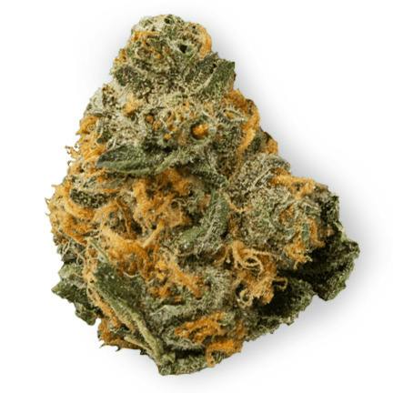 Goldkine Mint Chocolate Chip Prepack Rec