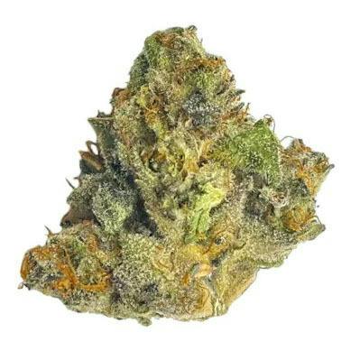 Glorious Sci-Fi Soldier "Smalls" Rec at Sociale Dispensary