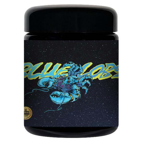Voyage Bloom Blue Lobster Prepack Rec