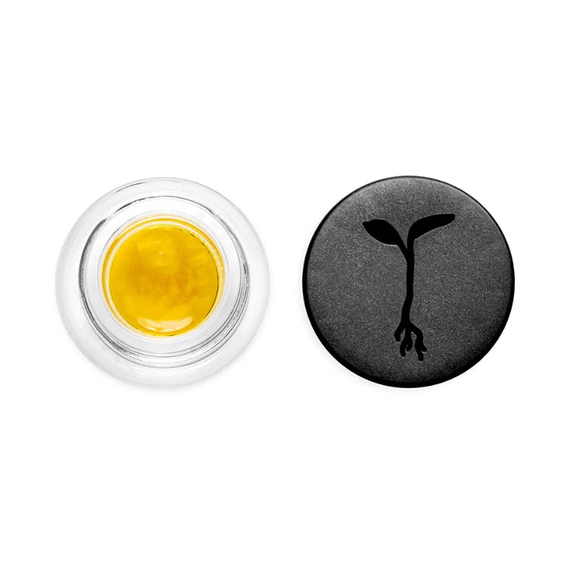 Permanent Marker Live Sauce - 1 g