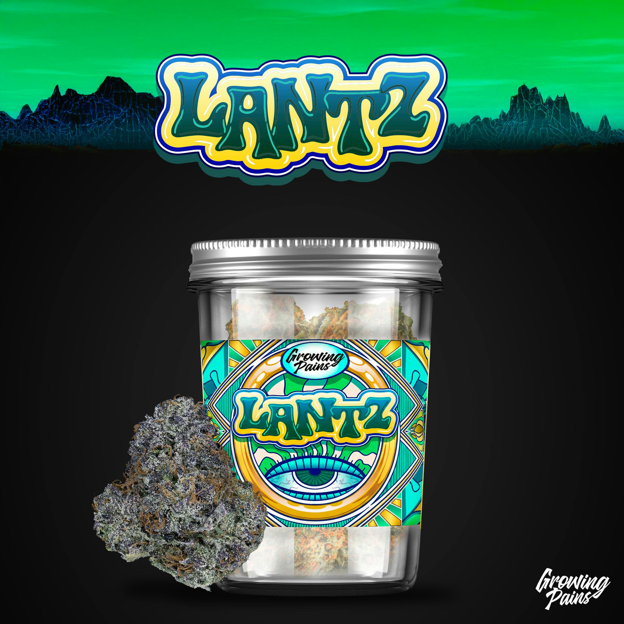 Growing Pains | Lantz | 14g | Pre-Pack Flower