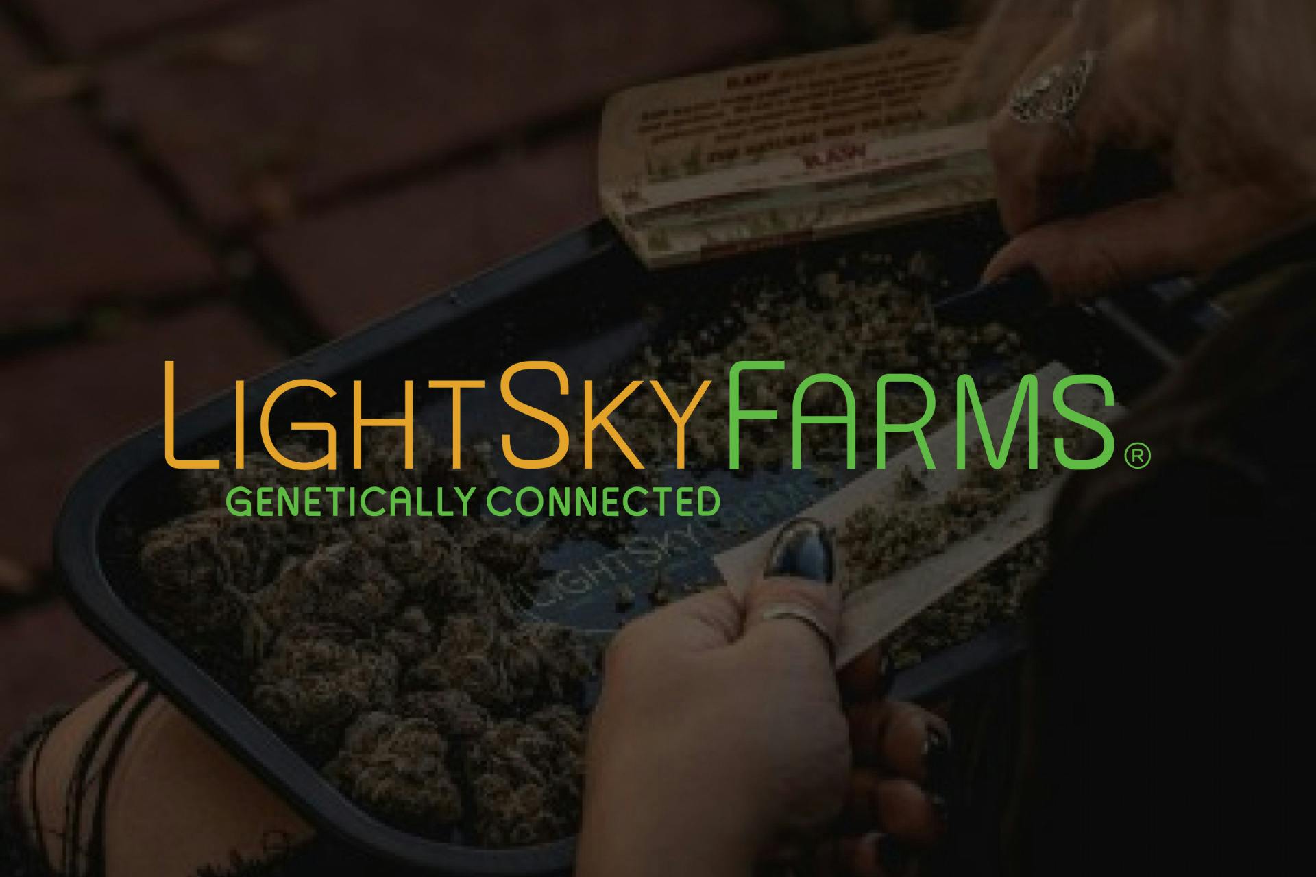 LSF | Permanent Marker | 14g | Pre-Pack Flower | Premium Buds