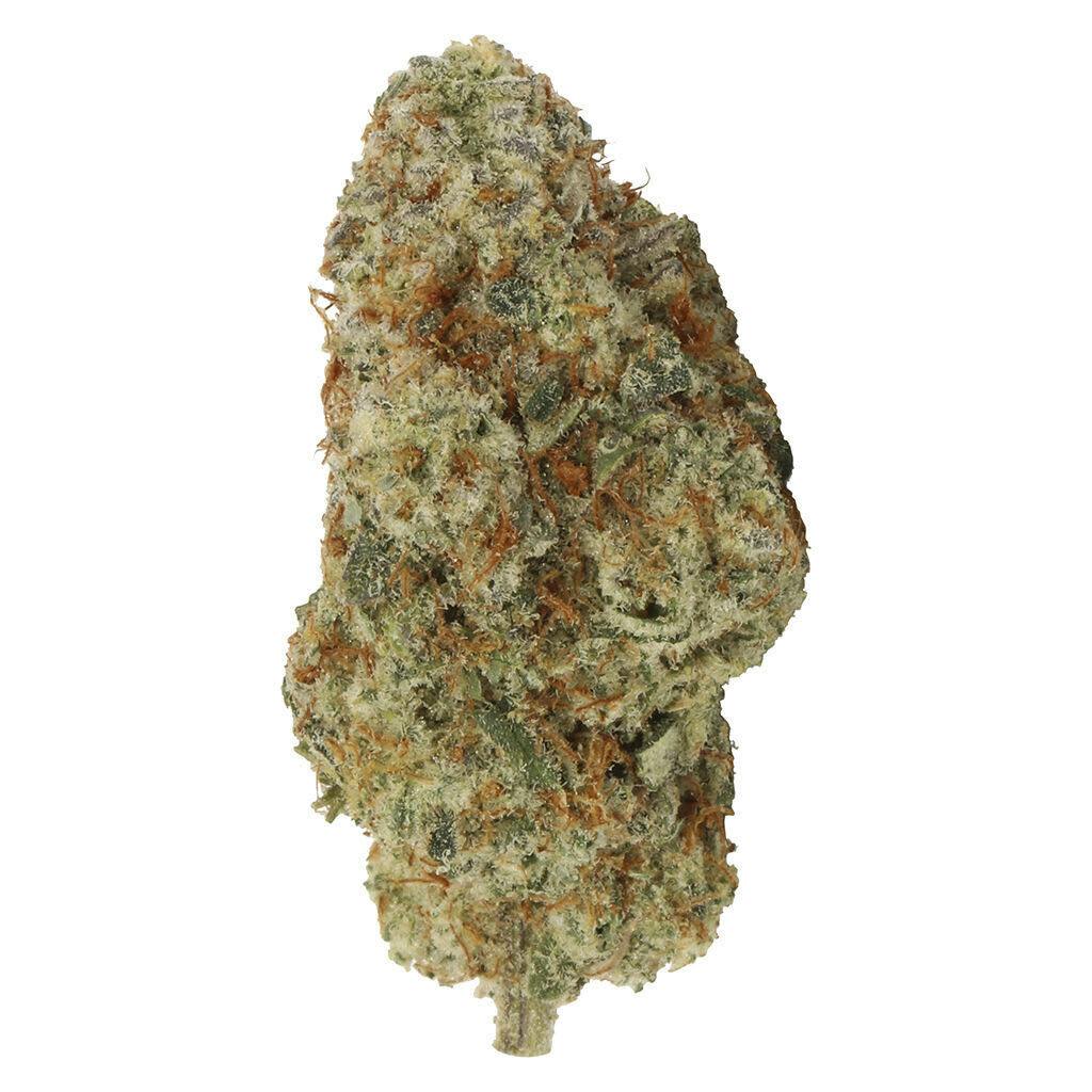 Myrtle Beach 3.5g Dried Flower