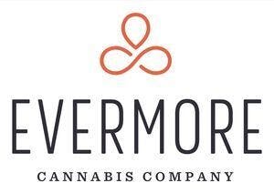 EVERMORE Ice Cream Cake Live Resin Cake Badder