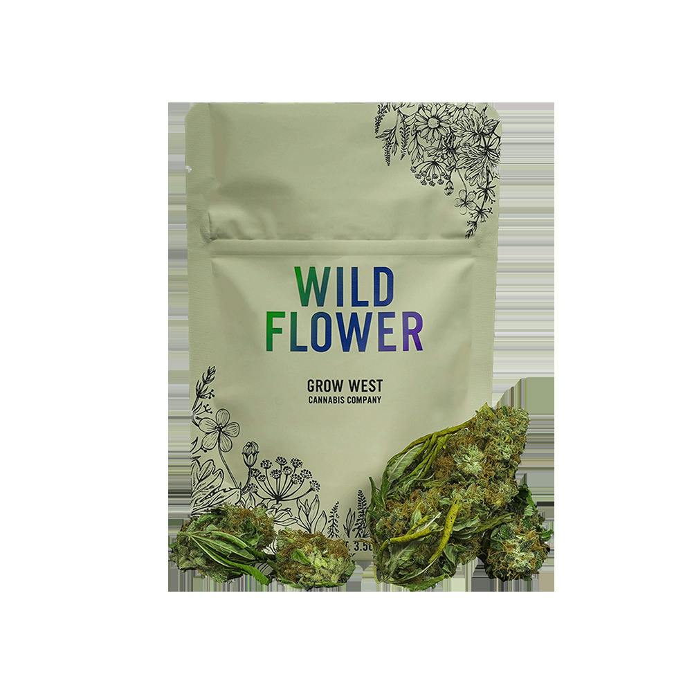 WILDFLOWER Miami Heat at Mary & Main: A Cannabis Dispensary