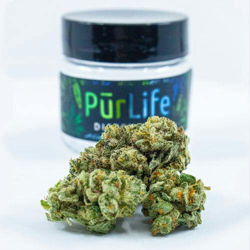Champaya | Premium Small Buds cannabis product